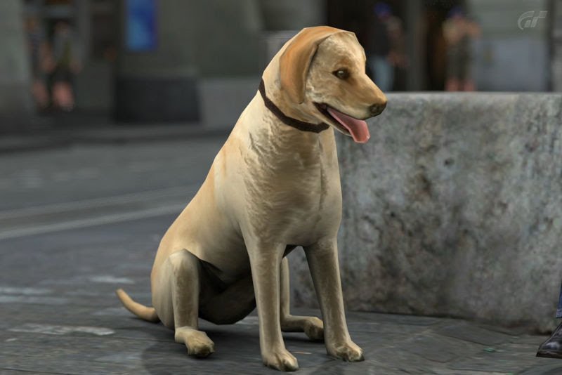Разработчики Ace Combat 7 вставили статическое фото собаки в сюжетный CGI-ролик — её прозвали «JPEG dog»