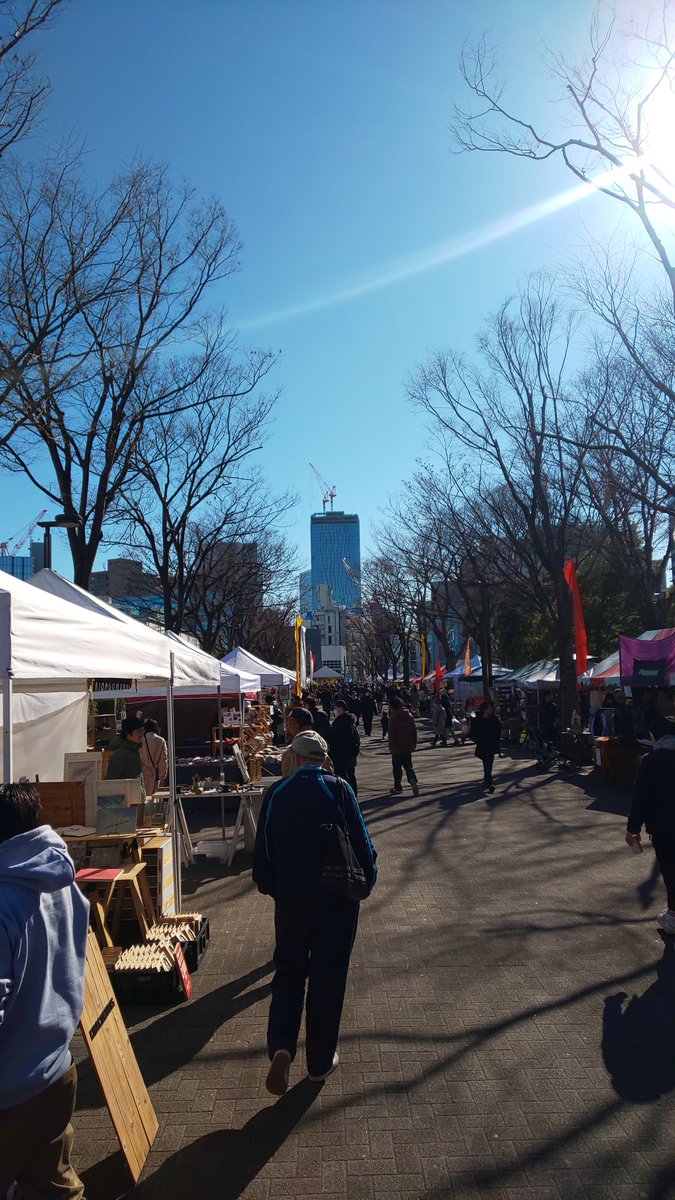 代々木公園ケヤキ並木