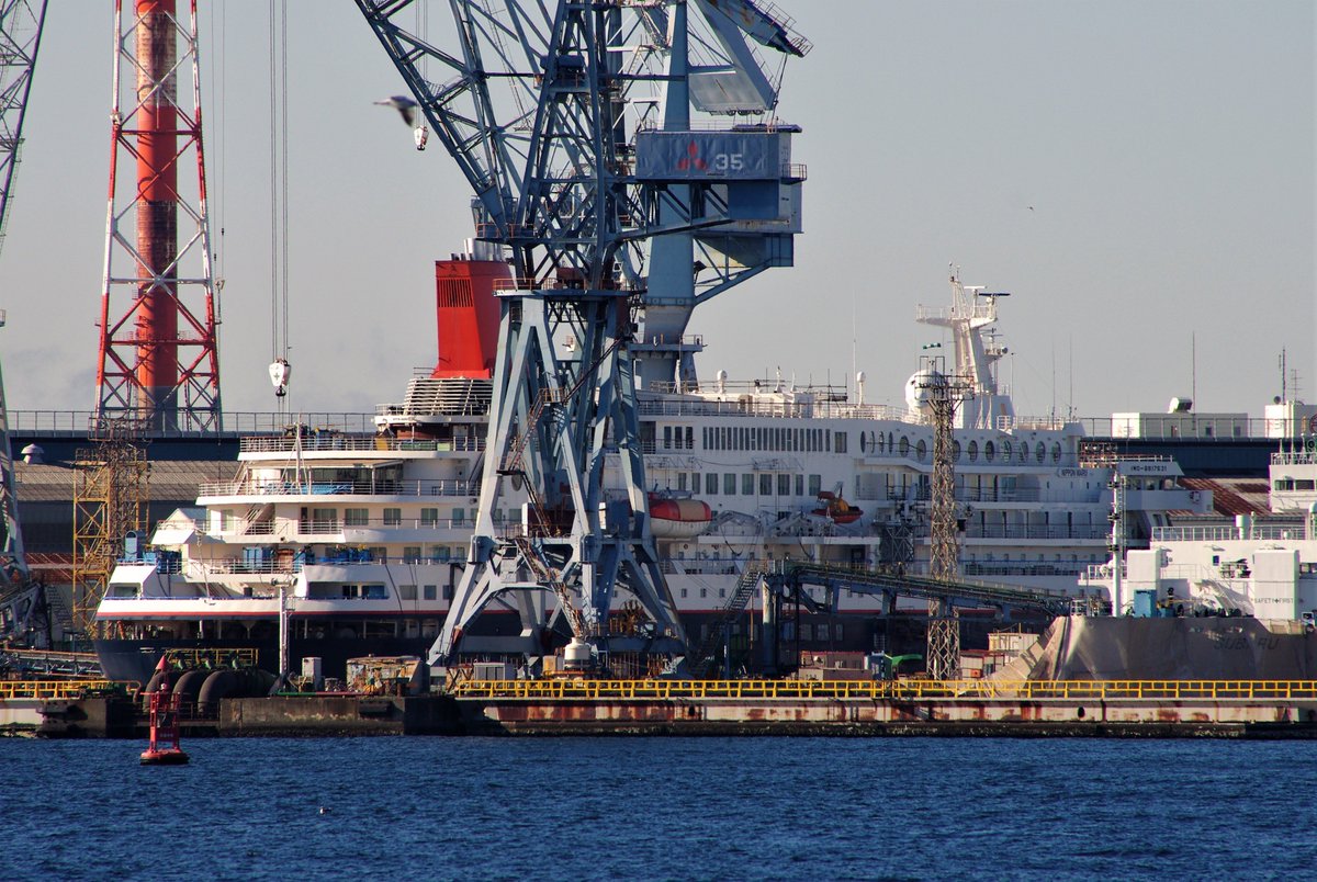 panamaru2's tweet photo. NIPPON MARU
IMO8817631/#PASSENGER_SHIP/GRT22,472t/
B-1990, inbound Yokohama,Japan. Date:19.Jan.2019.
色々あった #NIPPON_MARU は、日本に回航後、#三菱重工横浜製作所本牧工場 の一号ドックに入院、お尻の治療中
#shipspotting #shipsinpics #shipping #MOL #客船 https://t.co/ozuNjom8Ur