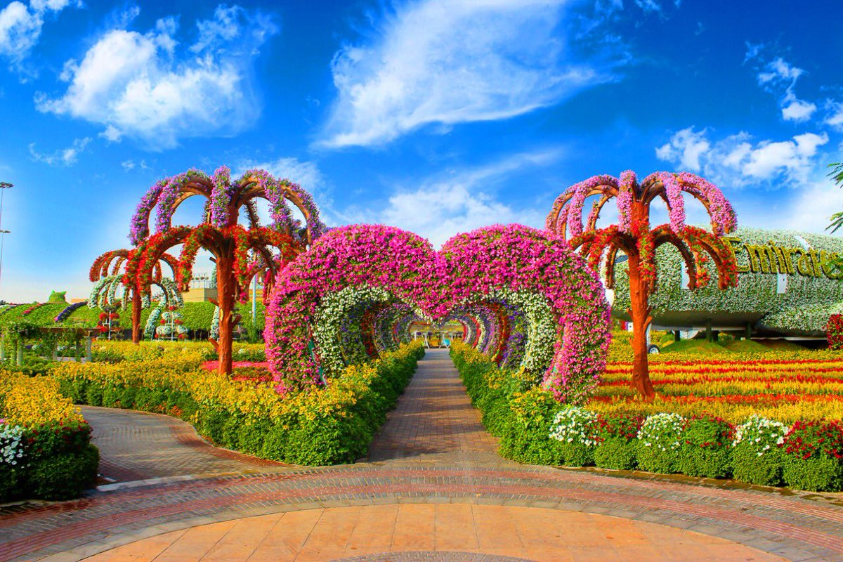 Conoce Dubai  Miracle  Garden  el jard n de flores 