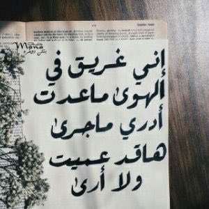 sa53_oud5's tweet image. 