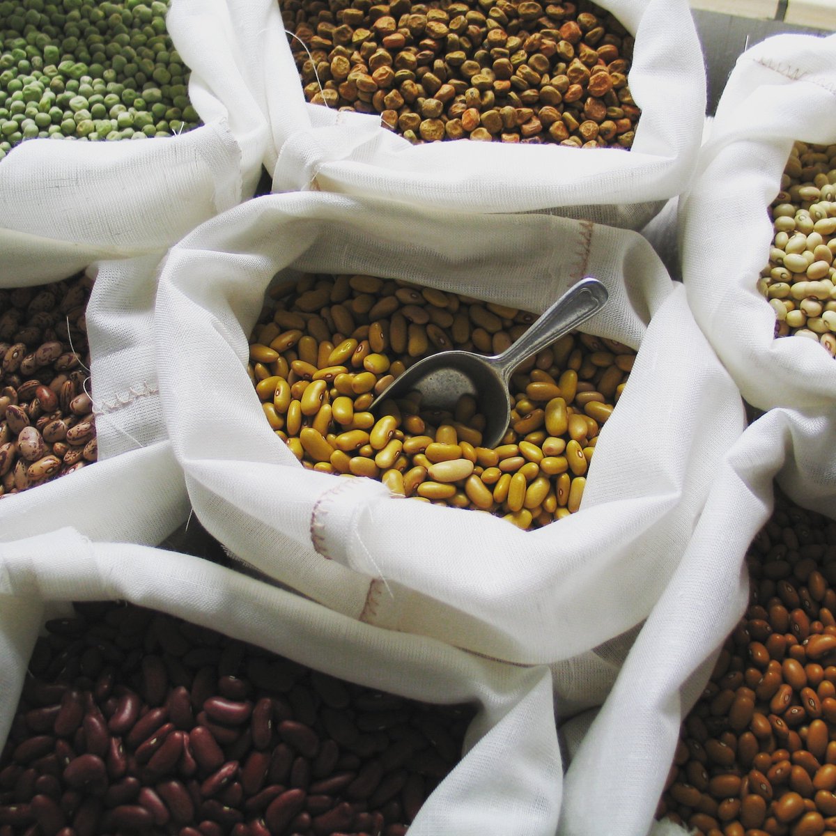 Pulse_Shack's tweet photo. Food in the Anthropocene: the #EATLancet Commission on #healthy Diets for #sustainable Food Systems links nutritional targets with environmental sustainability. Less meat,  more fruits, vegetables, nuts, seeds and #pulses. https://t.co/b0yNjnrbEO