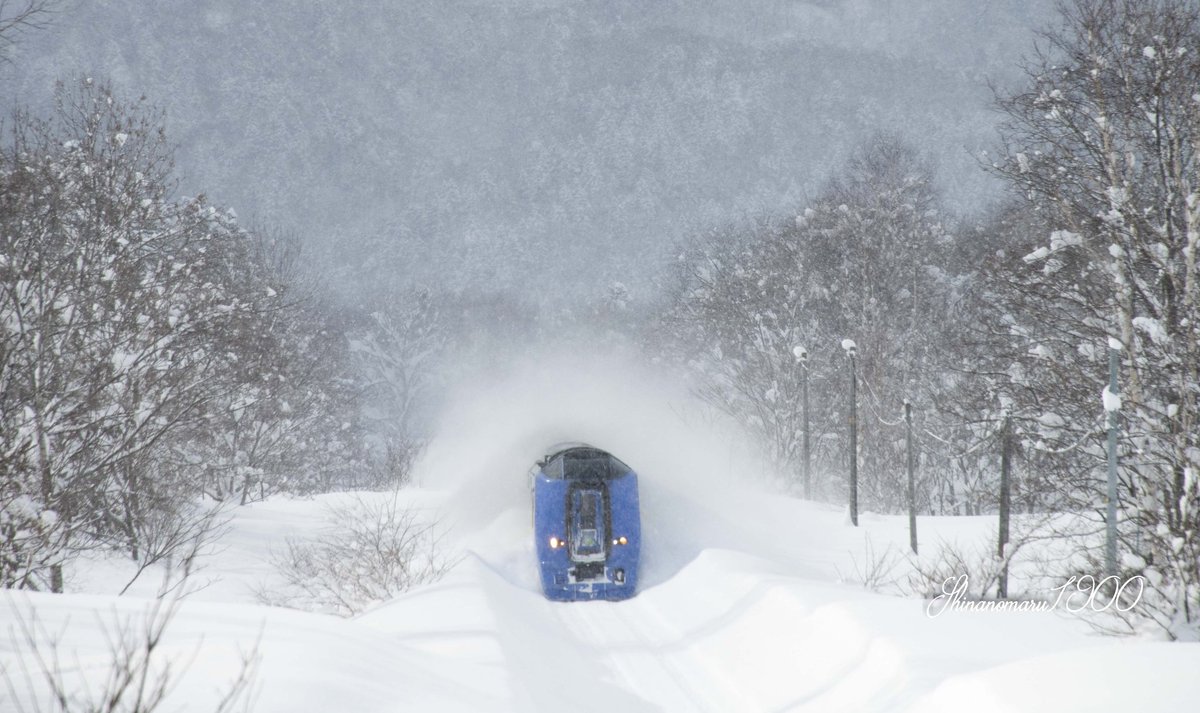 Twitter पर こば 宗谷本線佐久 筬島 18 1 29 特急宗谷号稚内行き 深い森の中の深い雪を掻き分けて 目指すは最北端の町 Soya Line Hokkaido Japan The Train Is Heading For Northernmost Town Of Japan In The Deep Snow Of The Deep Forest T
