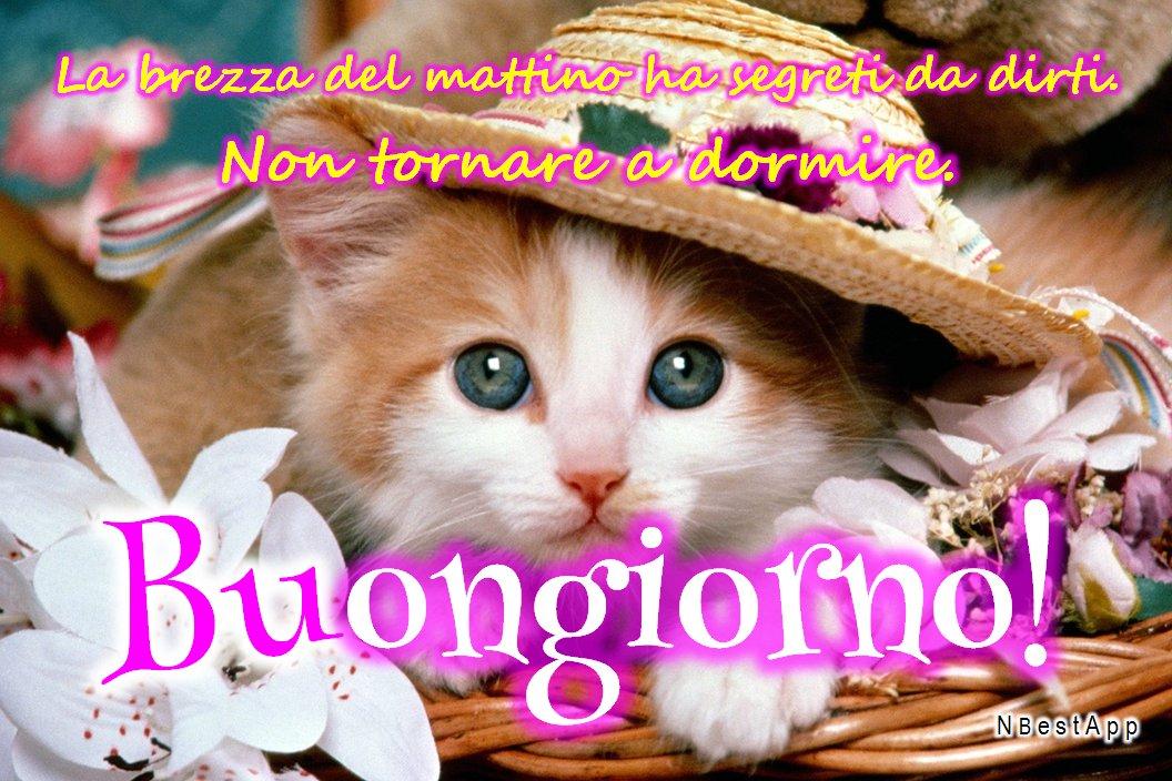 Le Immagini Di Sandra Home Facebook
