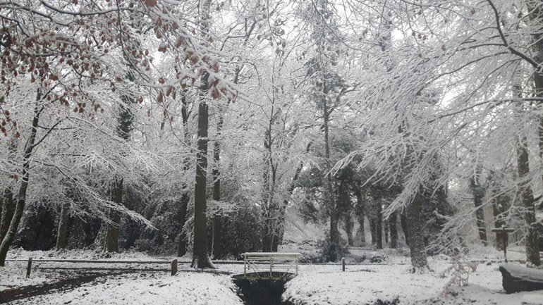 Het is koud buiten dus dat betekent dat het tijd is voor winterse activiteiten. En er staan er dit weekend veel op het programma. Wil je weten wat er te doen is? Je leest het hier:
roeg.tv/roeg-nieuws/di…