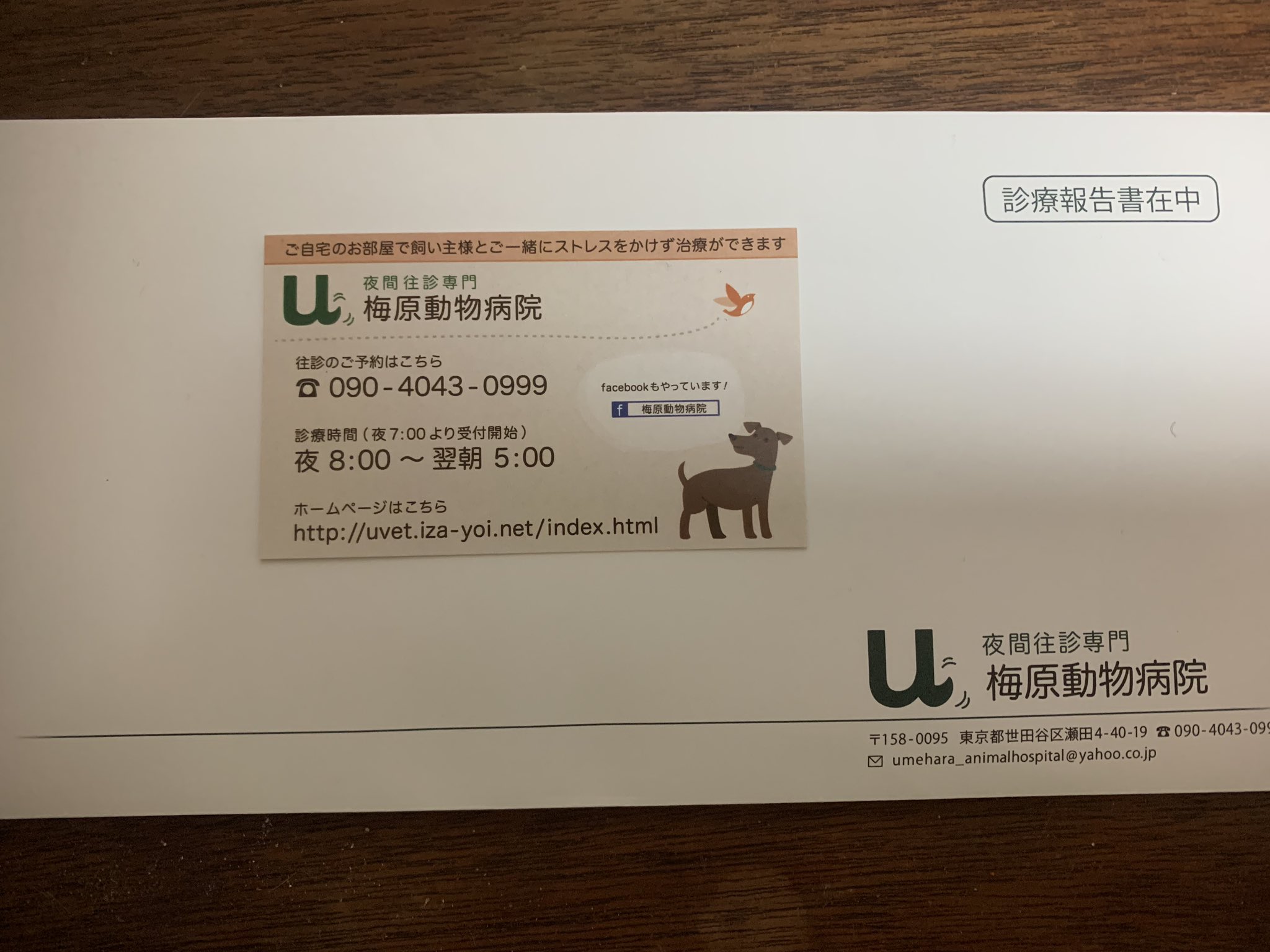 太田湧貴 昨日初めて 夜間往診 専門の 動物病院 にかかりました その時の話です フェレット部 フェレット大好き Ferret Ferrets Ferretgram 梅原動物病院 T Co Ojrjwvpdzu T Co Znfztxrwd4 太田湧貴 昨日初めて 夜間往診 専門の 動物病院 にかかりました その時の話です フェレット部 フェレット大好き Ferret Ferrets Ferretgram 梅原動物病院 T Co Ojrjwvpdzu T Co Znfztxrwd4