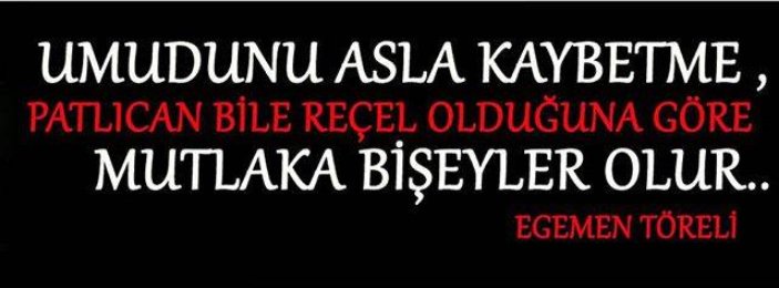 RECEPAKTUG tweet media