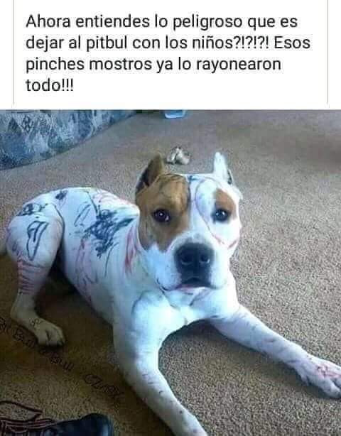 DFreddys's tweet image. Demonios