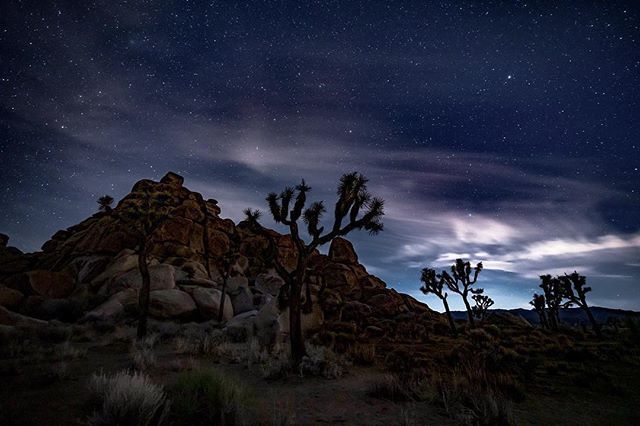 NP_Geek's tweet photo. Nighttime bliss. ••••••
Thanks to Kenny @kenny_n88 for the dreamy night. ——-- Starry night sky 🌌 .
.
.
#astrophotography #nightsky #darksky #starrynight #joshuatree #nationalparks #sonyworldclub #sonyalpha #nationalparksgeek #joshuatreenationalp… https://t.co/i2Djbqxvlo https://t.co/ceuDKrMhcN