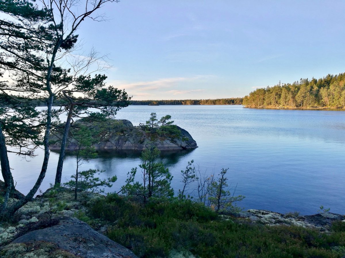 True Nature Sweden (@truenaturese) /