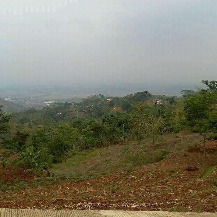 Kebun 🇯 🇪 🇷 🇺 🇰 produktif pondok tahfiz jelekong yang berlokasi di jelekong Kabupaten Bandung menawarkan peluang Investasi,

*Jika berminat bisa langsung datang kekantor*
 Untuk informasi mobile bisa hub : 085222457087