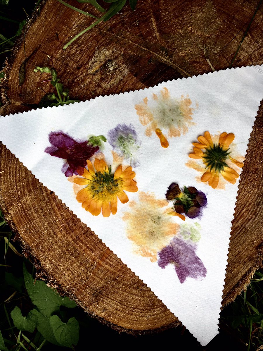 BoundaryWay's tweet photo. Day 2 of @KanjNicholas #floweraday challenge to brighten Winter days - here’s some #happazome experiments we created in a workshop with #mariabillington from @GatisCommunity in our garden in 2017 - dyeing fabric and logs by bashing petals and leaves #greenarts https://t.co/7hf1thXxan