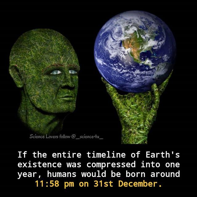 Science4u3's tweet image. 