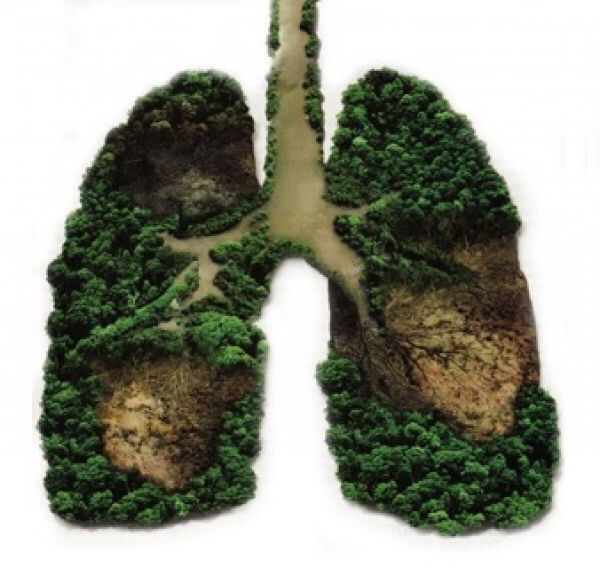 WatermanBiocare's tweet photo. Eating your greens is good for your body, but what chemicals are you inhaling each and every time you clean?
#WatermanBIOCare #WhiteBiotechnology #GoodBacteria #Biocare #Biotechnology #Bioremediation #EcoFriendly #GoGreen #CleanGreen #CleaningProducts https://t.co/XE7YJmtv08