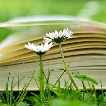 MirellePetit's tweet photo. Het afgelopen najaar ben ik druk bezig geweest met het schrijven van een boek voor VA's. Het boek zal een mooie aanvulling zijn op onze opleiding voor startende VA's. 1 april is de lancering😁
#VirtualAssistant #boek https://t.co/NufFkPc7Lj