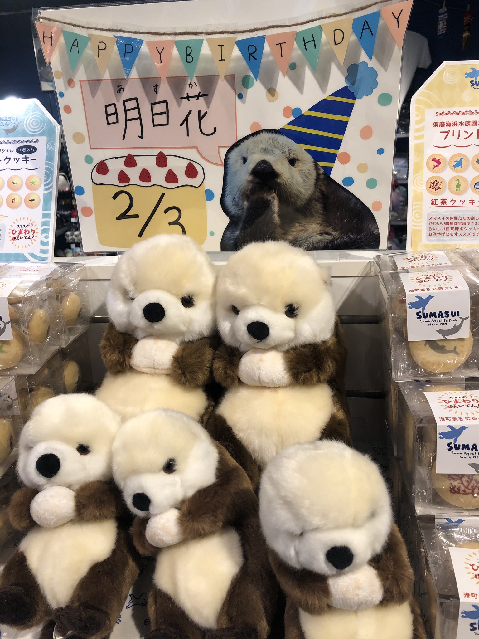 ラッコ 須磨海浜水族園 須磨水族館 おまけ付き レトロ TOHO BUSSAN 神戸市立須磨海浜水族園 ラッコ ぬいぐるみ