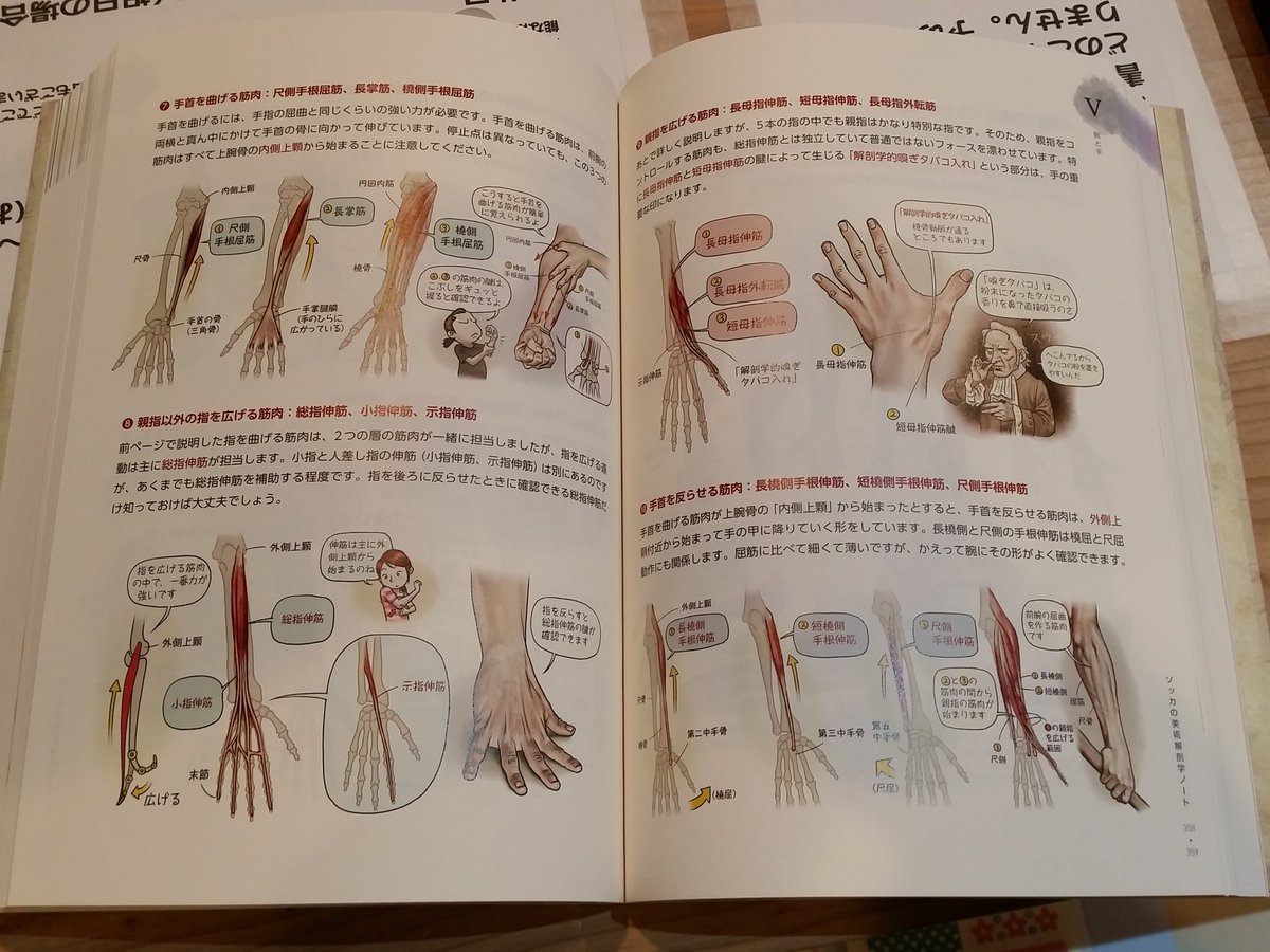 セット ソッカの美術解剖学ノート モルフォ人体デッサン キムラッキ ソッカの美術解剖学ノート 人体ドローイングセット ソッカの美術解剖学