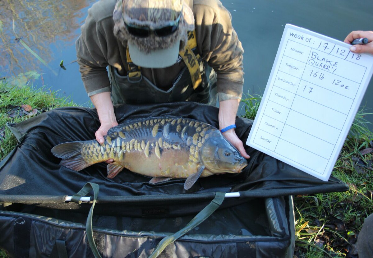 The start of a new era.... we still have some great fish from 4-24lbs available. Don’t leave it too late. #vscarp #vsfisheries #getthemnow