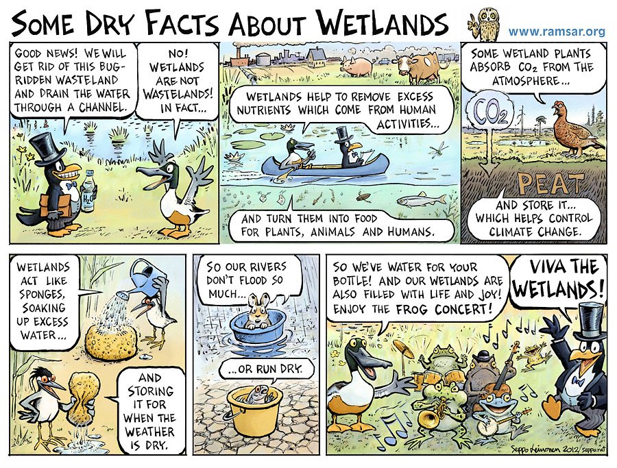 Wetlands are one of the most valuable ecosystems on our planet. 
We are getting ready to celebrate #WorldWetlandsDay on 2 February
It's time more people learn about their value  for #ClimateChange and commit to #KeepWetlands.
bit.ly/2DsoXwN
