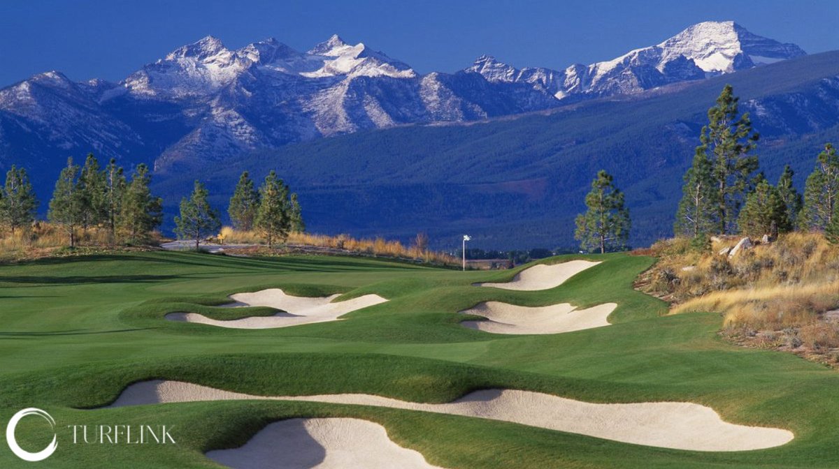 Stock Farm Club | Assistant-in-Training (Hamilton, MT)
👇Check out the below link for more info👇
 turflinkjobs.com/job/97/assista…