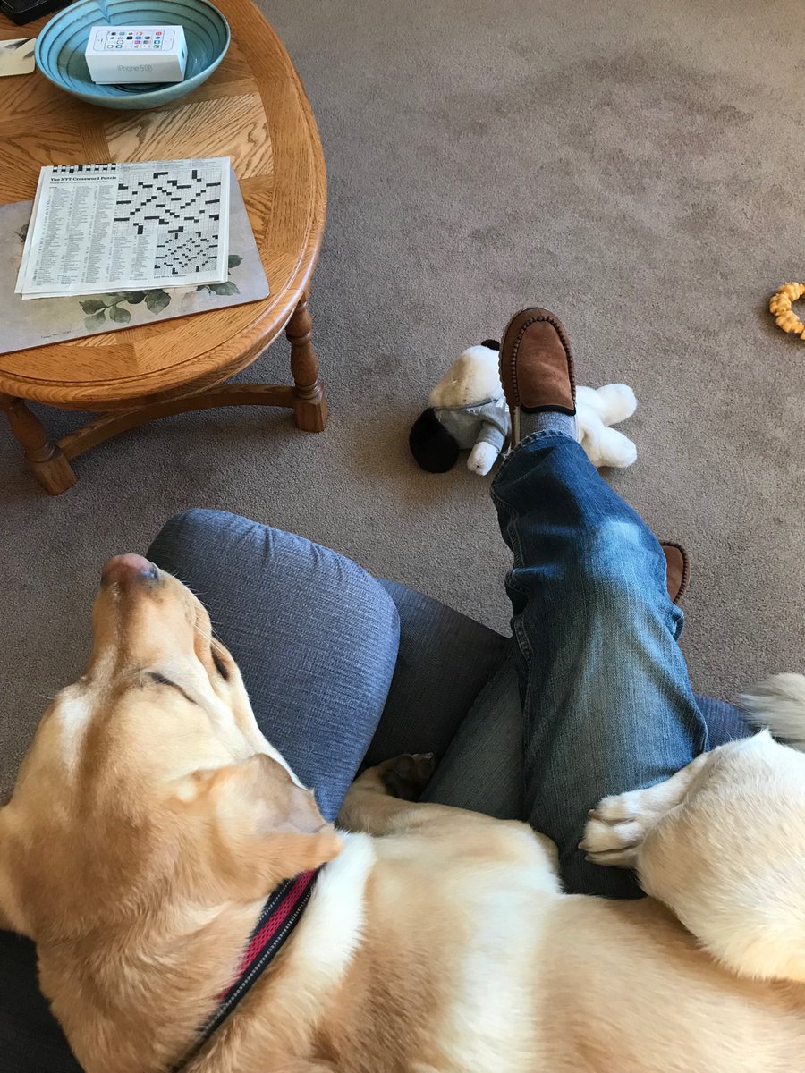 iwfraser's tweet photo. My 70 pound lap dog thinks it’s too cold outside. https://t.co/R6ZQjAzw2z