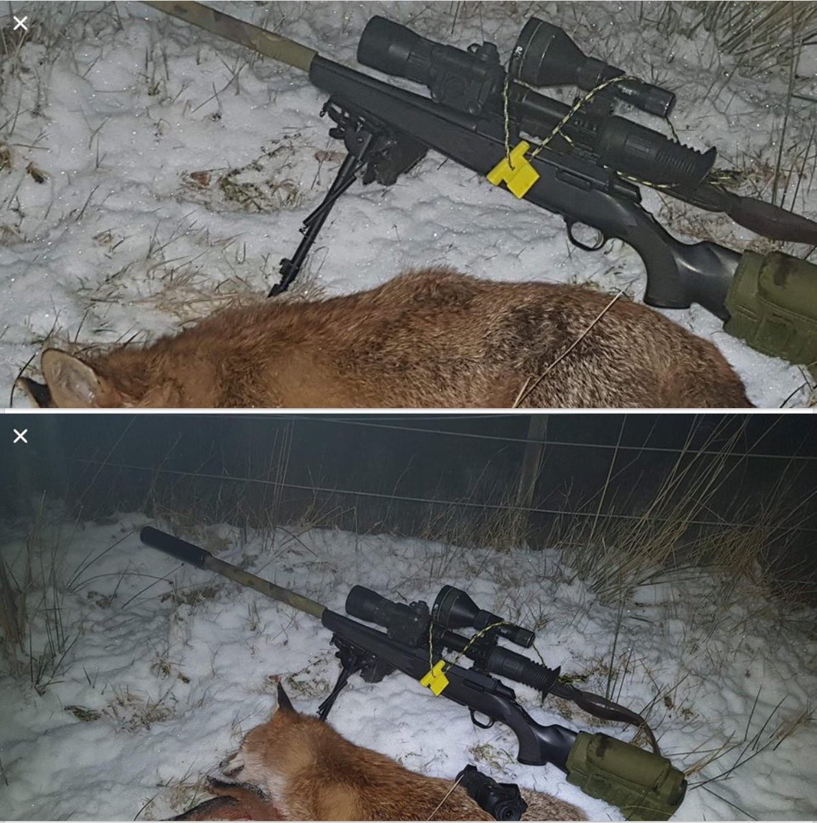 David Tulloch up in Scotland in terrible conditions with the T2 Fox Call on test
#t2 #foxcallsuk #shooting #hunting