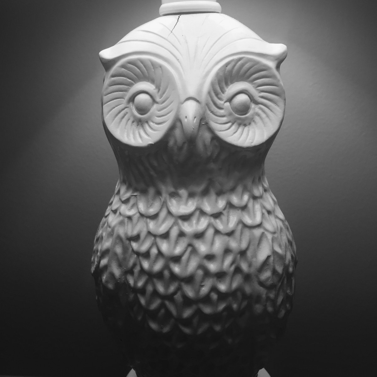 This owl lamp looks great in its own light. 
#Owl #objectphotography #owlsofinstagram #owllove #owlstagram #owllovers  #owlsome #owldrawing #owlet #owlcafe #owleyes #owlette #owlsaddicted #owlpost #Photowall_bw #bw_mania #theworldshotz_bnw #photography