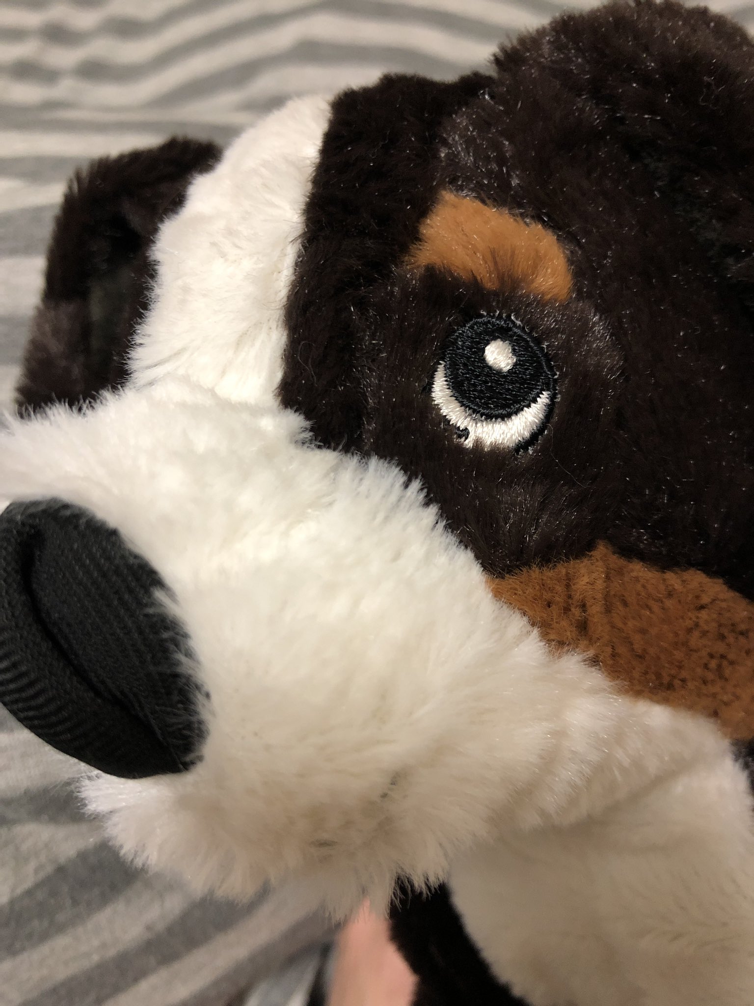 うちる 擬人化可能なぬいぐるみに惑わされるな バーニーズマウンテンドッグを買うんだ Ikea Ikeaの犬 T Co Ql4shdvgdg Twitter