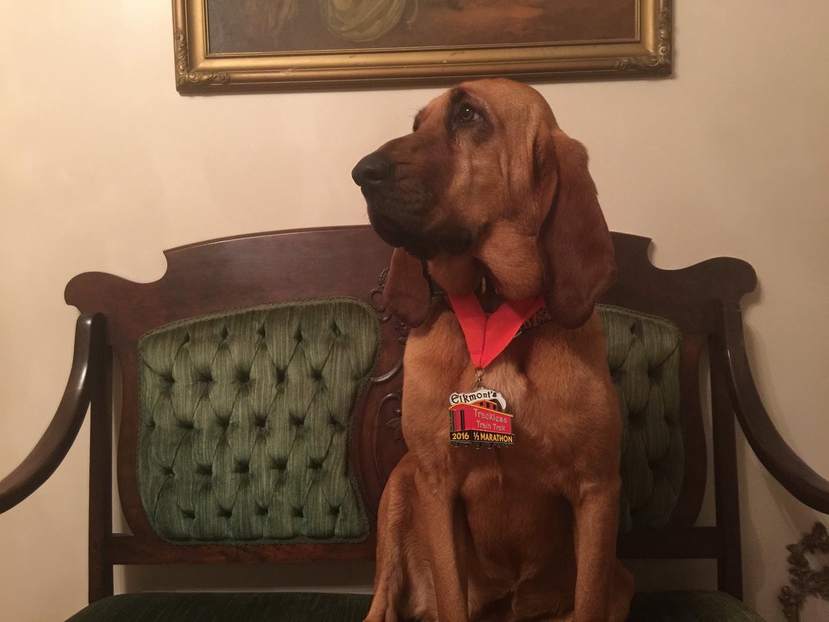hamlin_april's tweet photo. Hound Dog Half rescheduled until June 1, 2019...perfect time to visit North Alabama and see this girl! https://t.co/FgcFPGfSfz