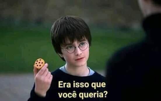 Harry Potter Brasil Memes