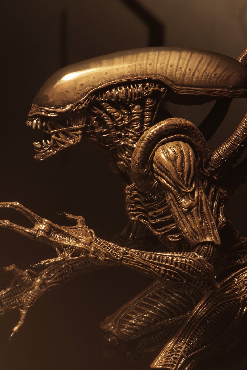 Alien Vs Predator Galaxy On Twitter Neca S Officially Announces
