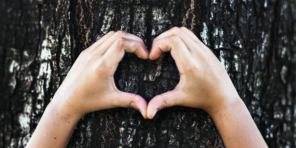 welever_ES's tweet photo. Conoce tres estrategias clave para desarrollar una cultura de #sostenibilidad en las #empresas.
👉👉👉 https://t.co/unplUCPCXw 

#Welever #WeleverSustainability #CSR #ODS #RSC #RSE #empresa https://t.co/nTS3bjnJPs