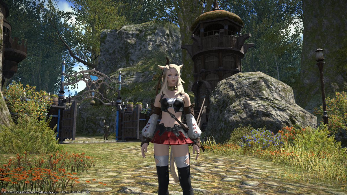 ミコッテ チャH / X