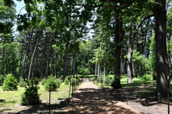 #kids Nature's Workshop: Nature Illustrations TOMORROW  <a href="/nycparks/">NYC Parks</a> socialrugrats.com/event/Natures2…