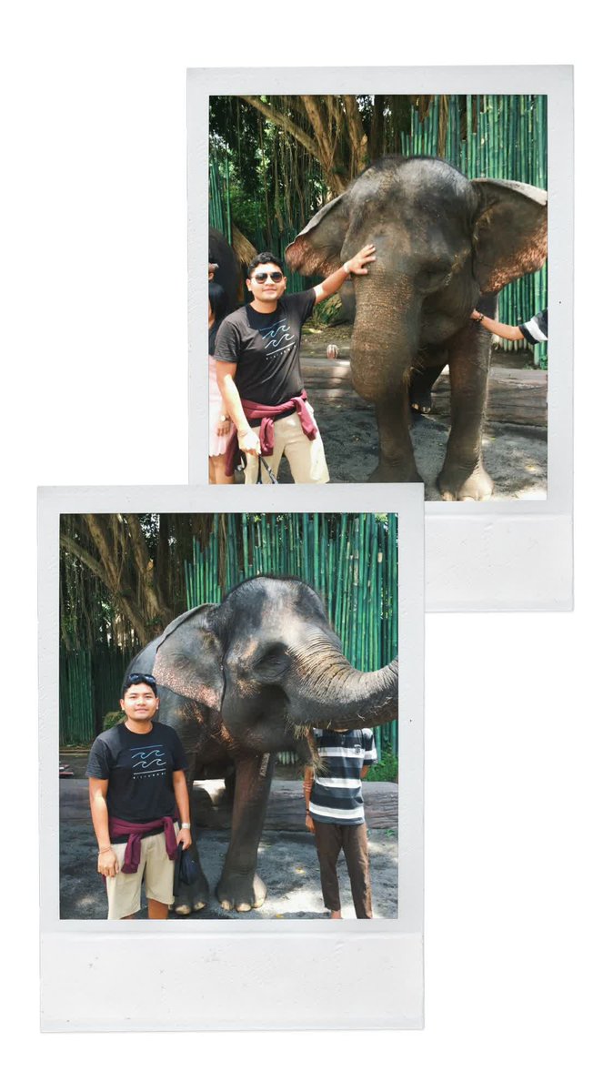 tthedaa's tweet photo. Bali 2019 https://t.co/2MkSAP1oab