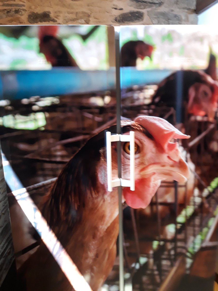 😏😏 Creías que en Imprimate solo realizamos #wrapping sobre vehículos? Pues esta rotulación que hicimos en esta nevera de #Begonte te demuestra que no!