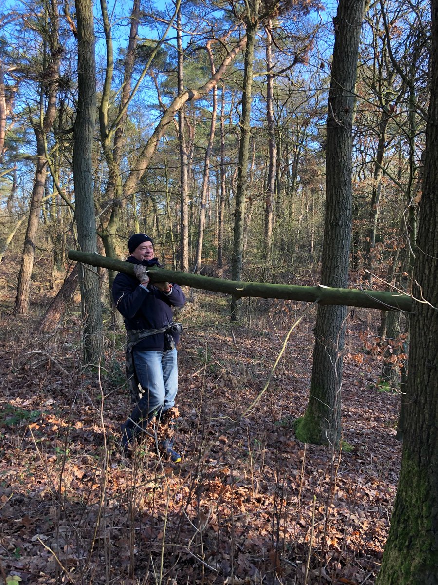 Ilsezaal's tweet photo. Vandaag op pad met vrijwilligers van @landschapnh. We zagen esdoorns om in het Naaldenveld. Geweldig wat deze vrijwilligers voor de natuur betekenen. Met o.a @JackvanderHoek en @msteeman https://t.co/PwcEkZfIrH
