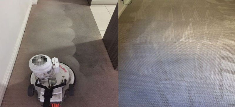 cleaning_koala's tweet photo. Searching for a professional carpet cleaner? Come to Koala Cleaning and get the best solution for the cleaning of your carpet. 
Read more for more details: https://t.co/JXbwBRIw3W
#KoalaCarpetCleaning #CarpetCleaningCanberra #ExpertCareptCleaning https://t.co/kMYoN0mIPt