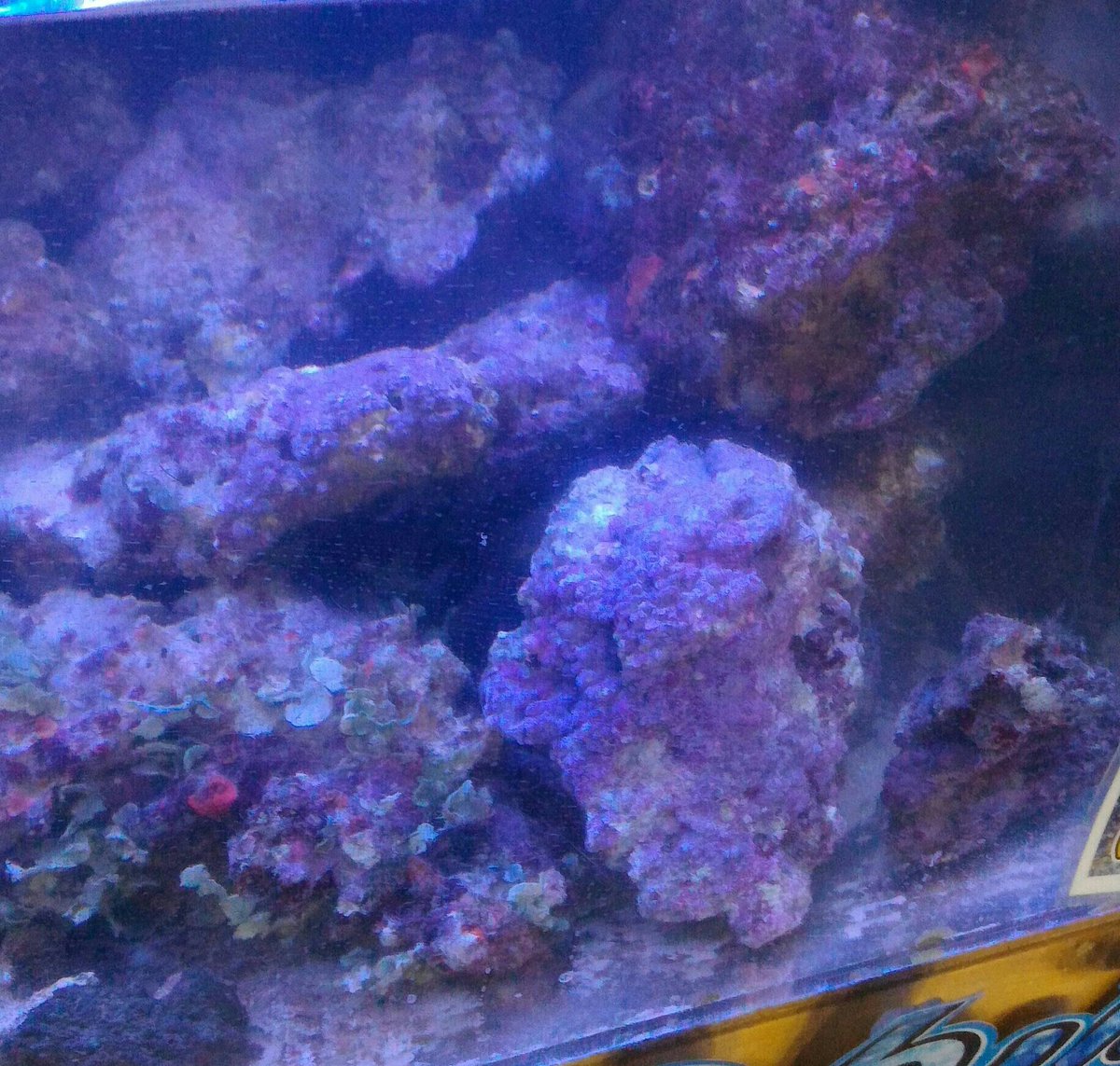 ﾗｲﾌﾞﾛｯｸ