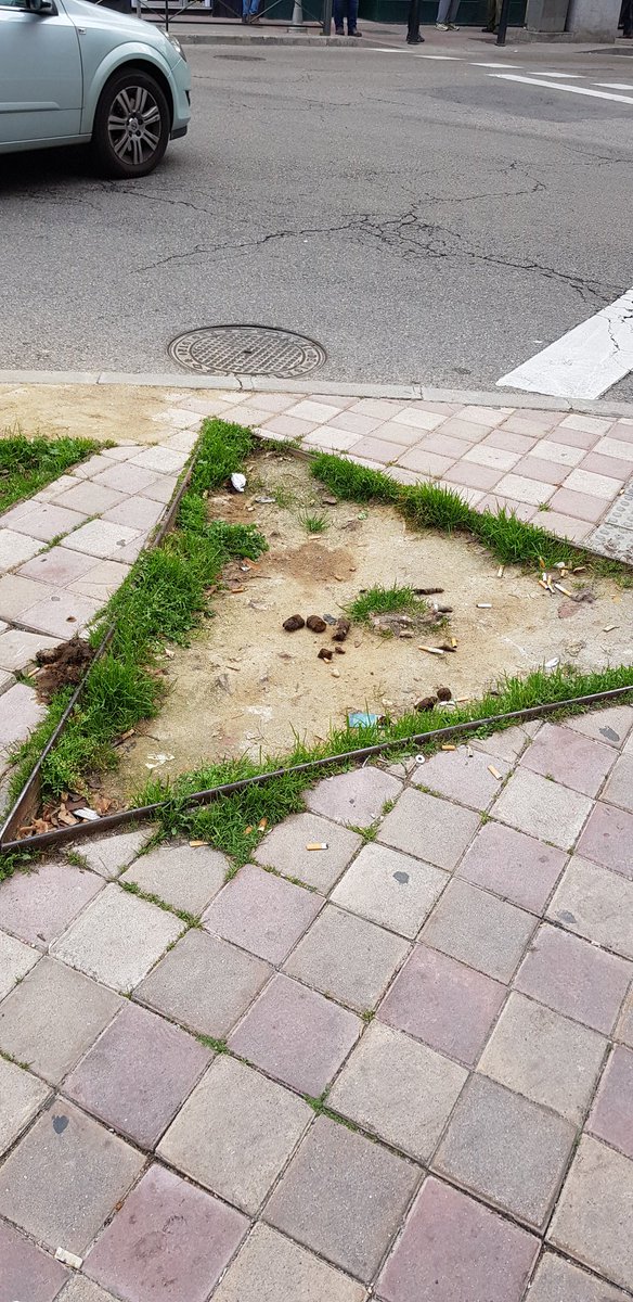 Pepmg75's tweet photo. @MADRID no vemos mejora de limpieza en la Guindalera. Es lamentable la Limpieza de este barrio https://t.co/gIiZYcOa1z