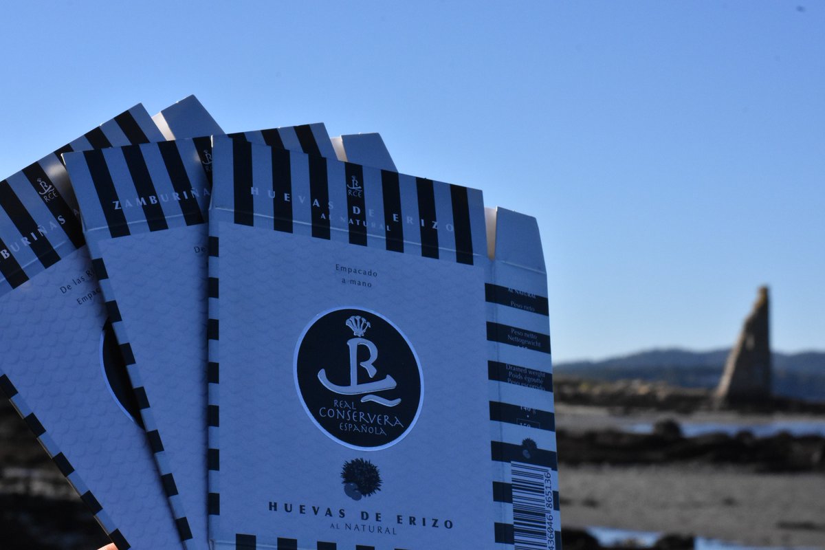 realconservera's tweet photo. 🏁 Comienza la mejor temporada para degustar de este manjar 🏁, EL ERIZO DE MAR
.
Sabías que ➡ Tradicionalmente la mayor parte del erizo capturado en Galicia tenía como único destino Asturias, donde era muy frecuente el consumo de oricios en las sidrerías.
#realconservera https://t.co/sgvsTgs8Ng