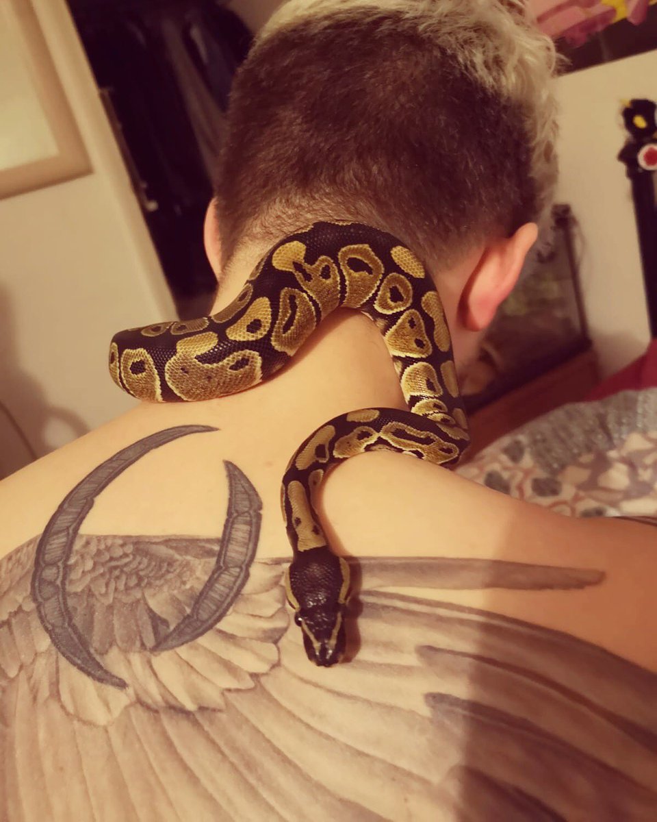 This beaut is growing too quick 😫! 🐍