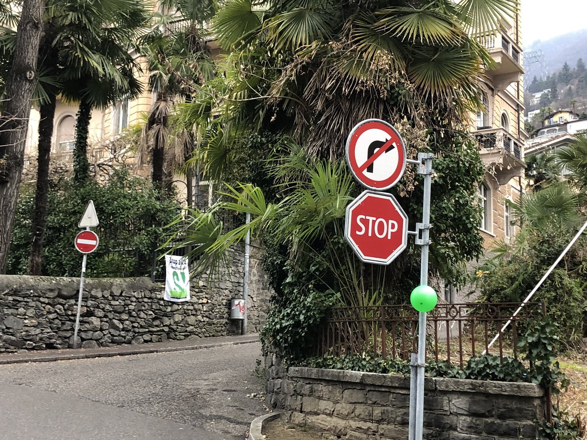 flobrenzikofer's tweet photo. Auf dem Weg nach Locarno @i_Verdi zur #AssambleaElettorale2019 #ForzaVerdi @GrueneCH @zersiedelung #StopCementificazione https://t.co/mth5cZwqM6