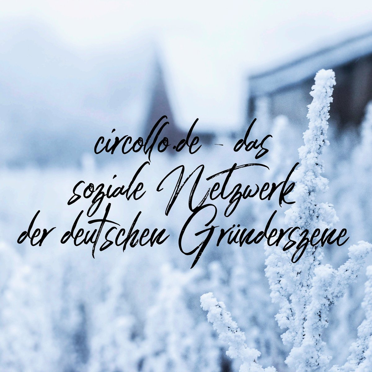 #startup #bonn #founder #freelancer #netzwerk