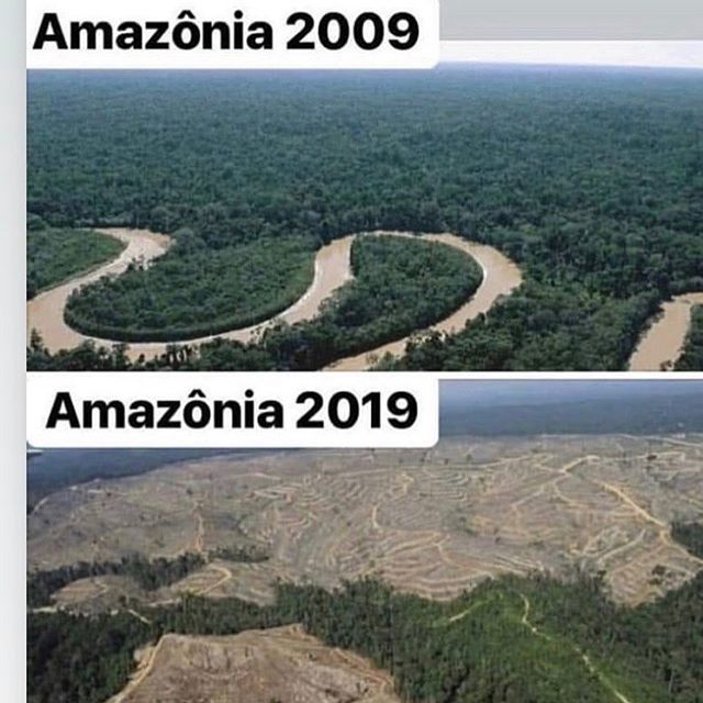 This is the real challenge. We need to focus on helping revive and replant. Please get active in nature where ever you live. This is truly a symptom of mans ruin and greed. When is enough? Thank you for this picture @franciscopiyako Viva Ashaninka! Viva … bit.ly/2sDKoXy