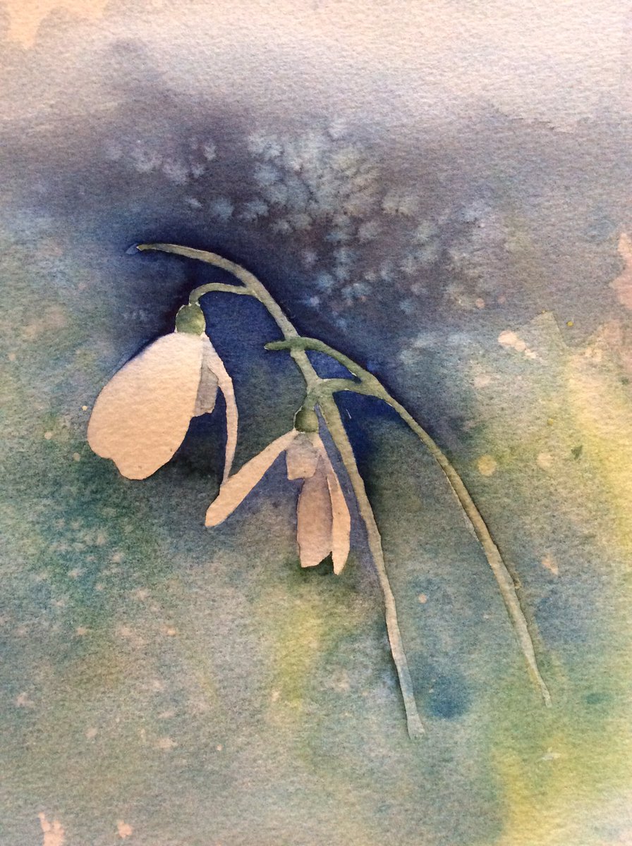 AnnaSheather's tweet photo. Next stage of the #snowdrop2 painting practice. Showing stage 1 and then stage 2🎨 https://t.co/4oFOtwsjD6