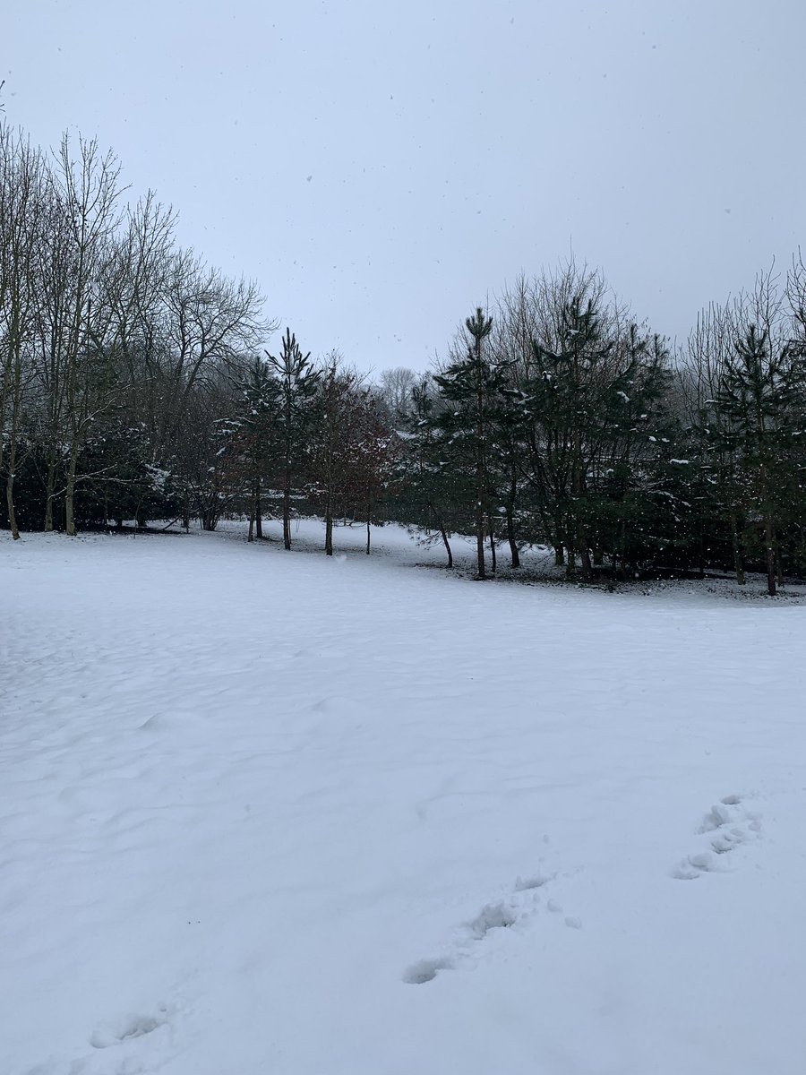JoSmithDWT's tweet photo. Snow! Lovely crisp, fresh, untrodden #snow...#MakingFootsteps #Derbyshire #MiddletonByWirksworth https://t.co/Yc7Ec3yZlw