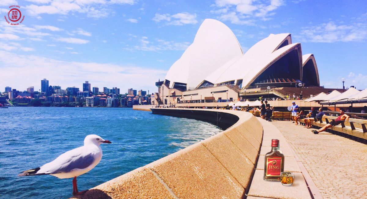 JINGBrand's tweet photo. For now you could find Jing Jiu sold in the Chinese restaurants and shops of Sydney and Melbourne. As for other Australia cities, you won’t have to wait too long.
#travelwithJING #Jing https://t.co/901HB3M0V0