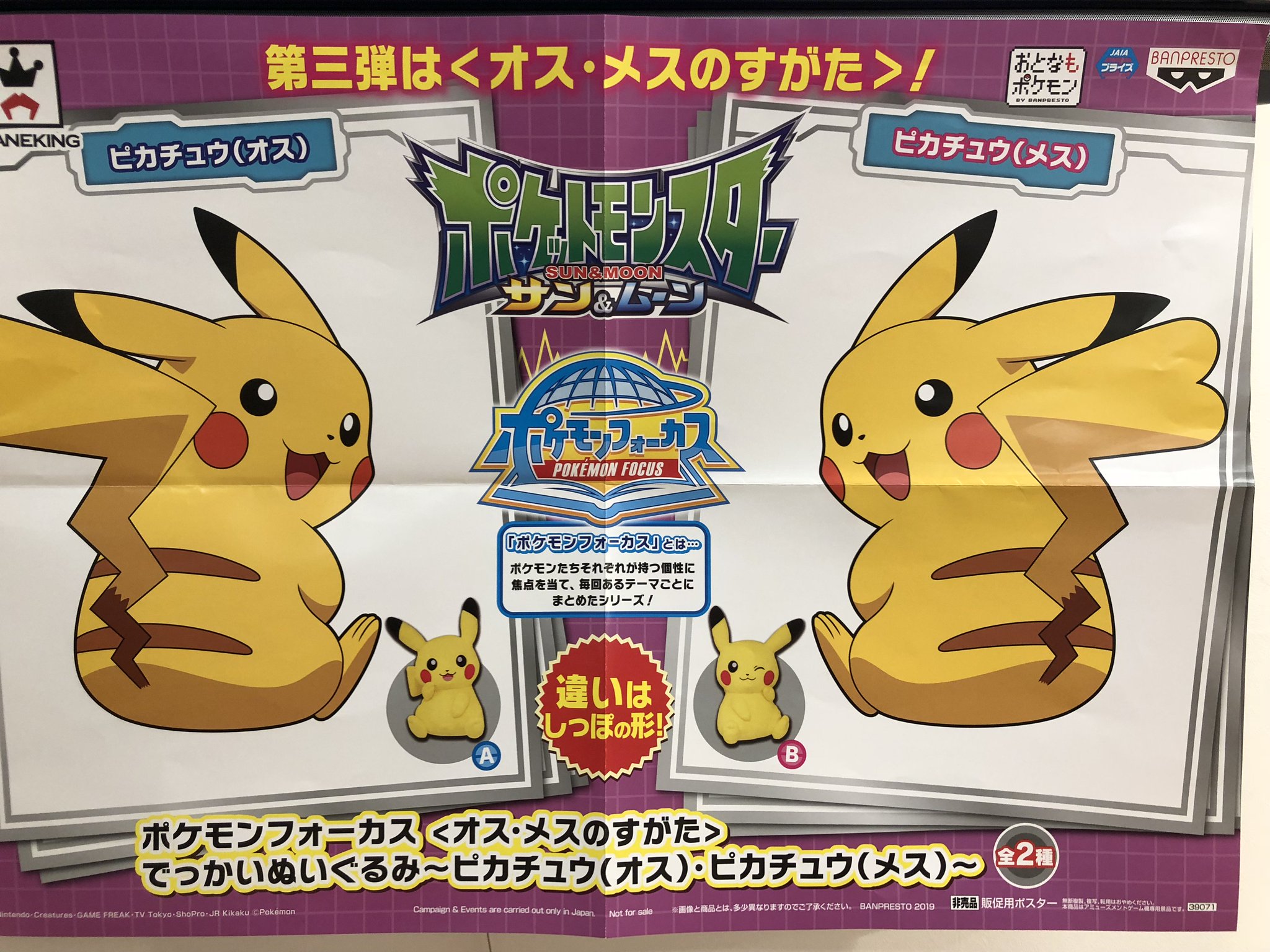 ポケセン オリジナル ピカチュウ オス メスのすがた Dermaviridis Net