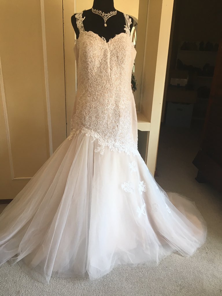 LbfWeddings's tweet photo. New Stock has Arrived -Sizes 36 upwards. All Bridal shopping Experiences should be memorable- Contact @LbfWeddings #PlusSize #WeddingDresses #bridal https://t.co/V8kQPiO5oz